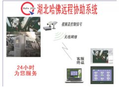 自動(dòng)包裝機(jī)遠(yuǎn)程診斷協(xié)助系統(tǒng)
